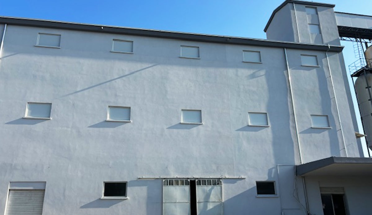 Risanamento strutture esterne molino